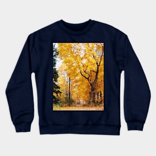 Autumn Path Crewneck Sweatshirt